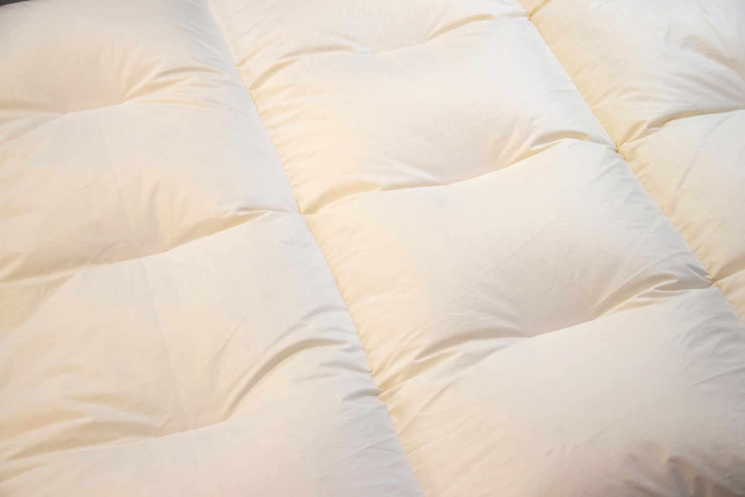 LIMA Daunendecke - ENZIAN - Ganzjahres Bettdecke mit Bio Einschütte aus 100% Baumwolle